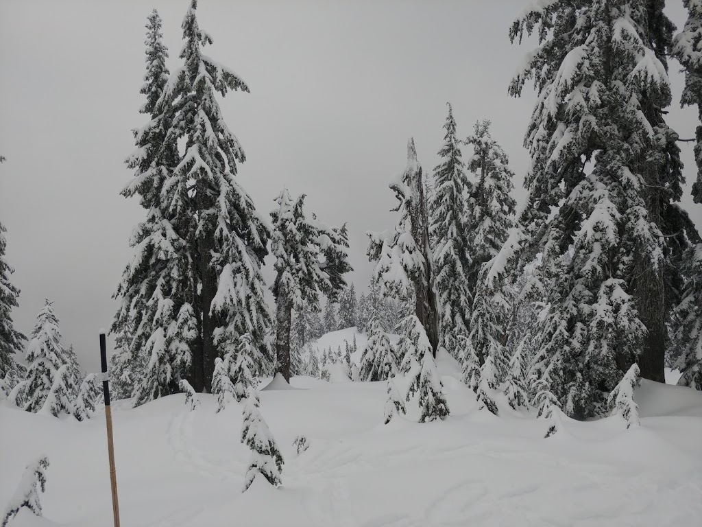 Ridge Trail | Ridge Trail, North Vancouver, BC V7K 1X8, Canada