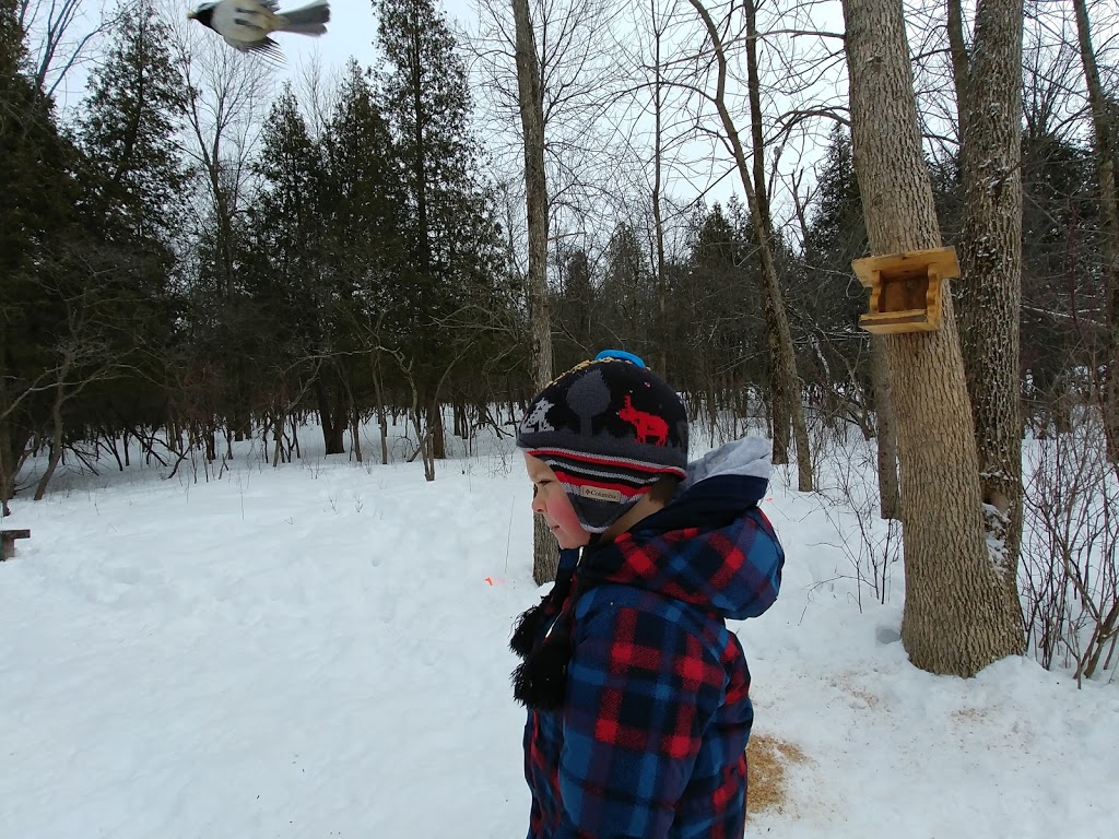 Upper Canada Bird Sanctuary Visitor Centre | 5853 Morrisons Rd, Ingleside, ON K0C 1M0, Canada | Phone: (613) 537-2024