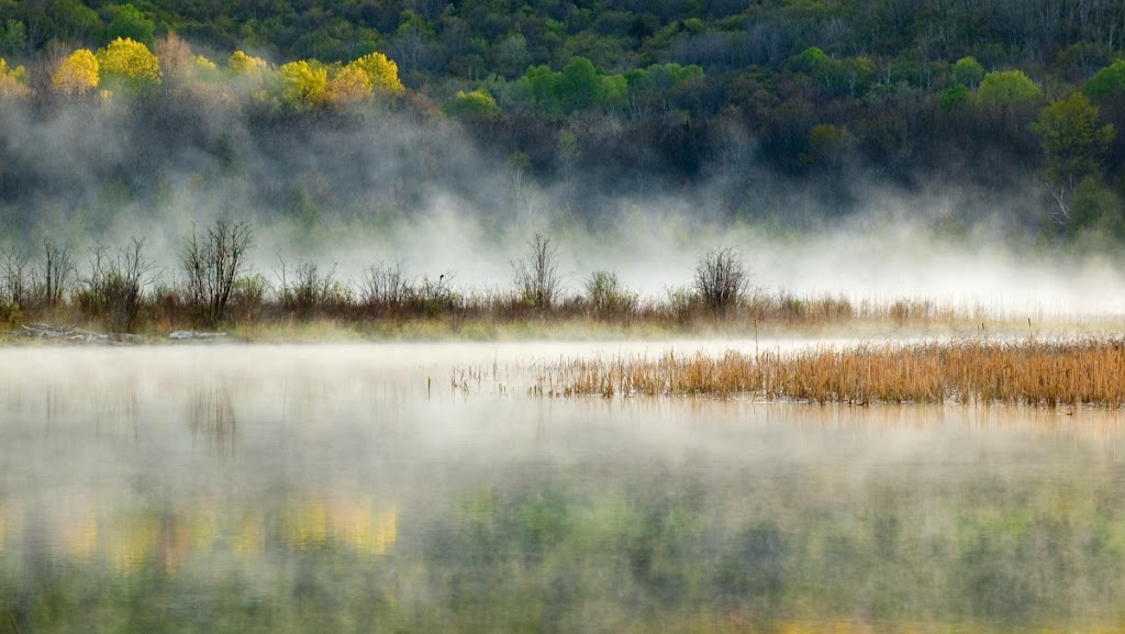 Peter Bowers Photography | 1095 Basshaunt Lake Rd, Eagle Lake, ON K0M 1M0, Canada | Phone: (705) 457-6759