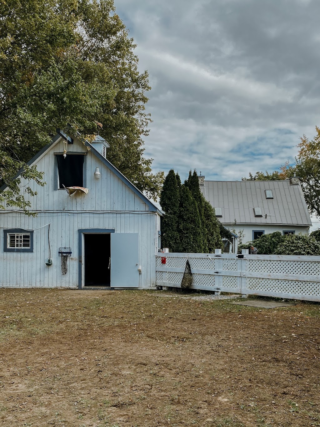 Équi-Libre Équin | 349 Rang du Petit-Coteau, Verchères, QC J0L 2R0, Canada | Phone: (438) 498-3669