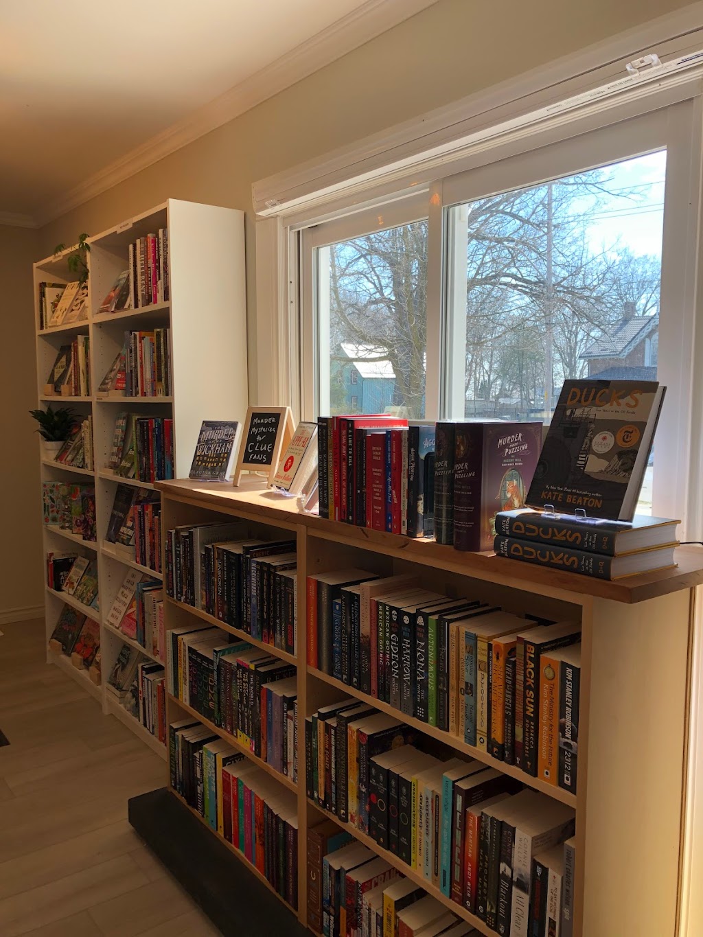 Beach Reads Bookshop | 230 St George St, Port Dover, ON N0A 1N0, Canada | Phone: (519) 583-1787