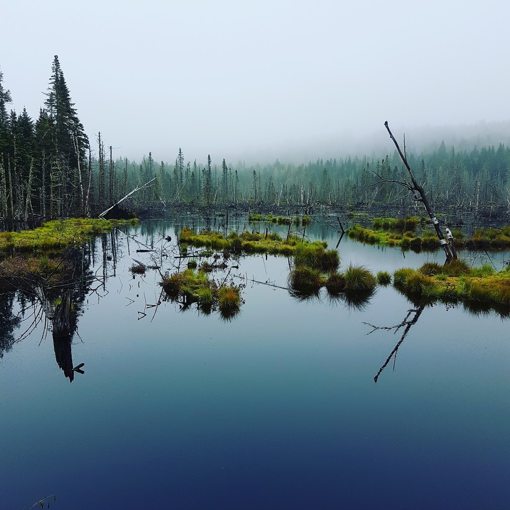 Wildlife Mastigouche | Rang des Pins-Rouges, Saint-Alexis-des-Monts, QC J0K 1V0, Canada | Phone: (800) 665-6527