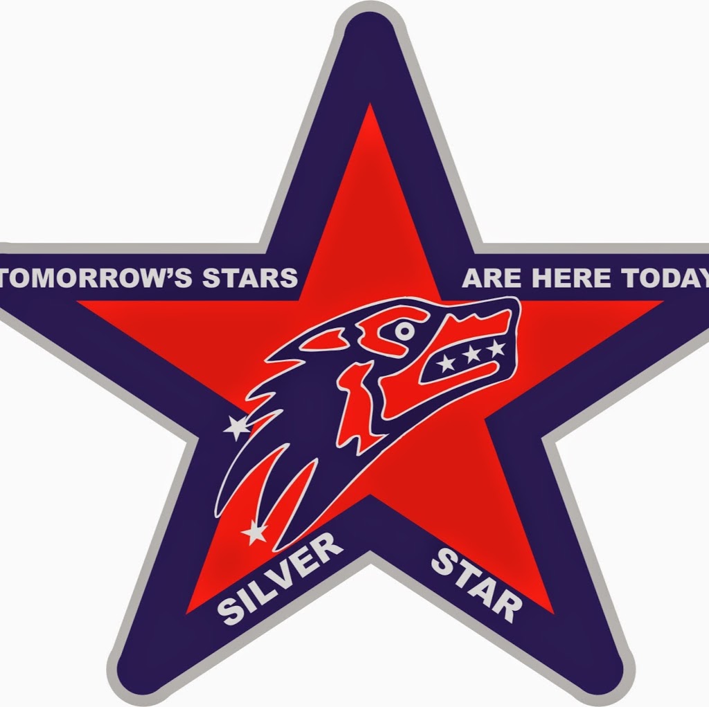 Silver Star Elementary School | 1404 35 Ave, Vernon, BC V1T 2R6, Canada | Phone: (250) 545-4409
