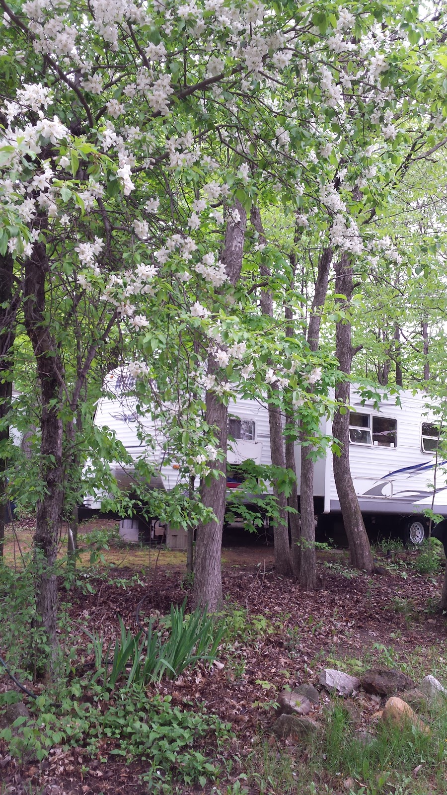 Whitehouse Campgrounds | 225 Burns Rd, Godfrey, ON K0H 1T0, Canada | Phone: (613) 273-5526