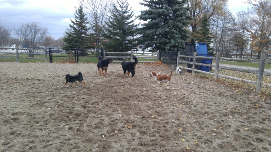 Sir Casimir Gzowski Dog Park | 2001 Lake Shore Blvd W, Toronto, ON M6S 5B5, Canada