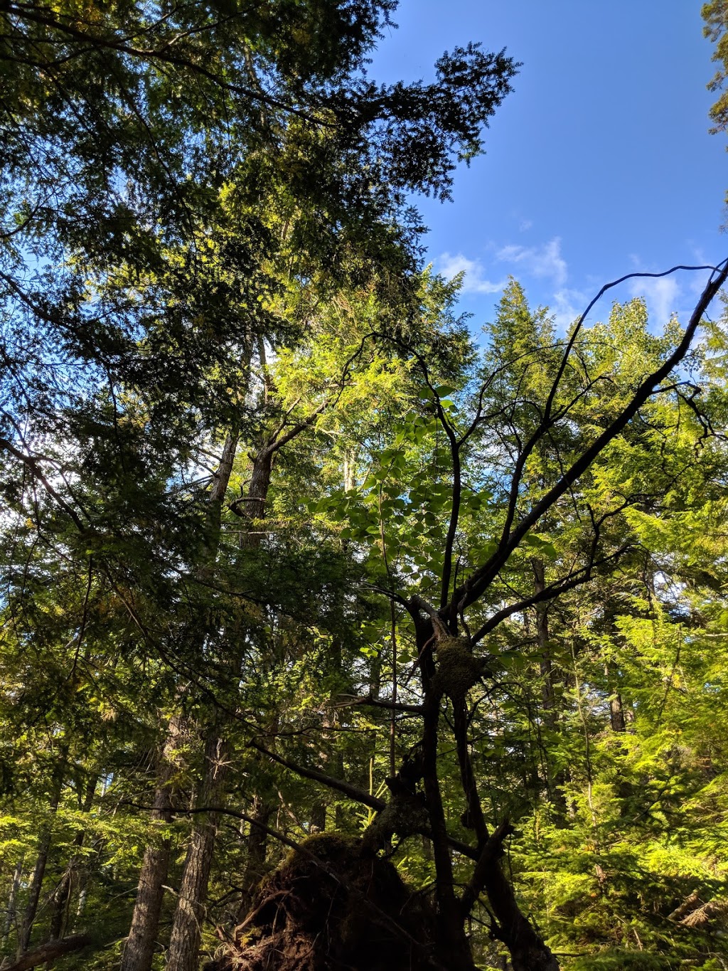 Gibraltar Rock Loop Trailhead | NS-357, Halifax, NS B0J 1N0, Canada