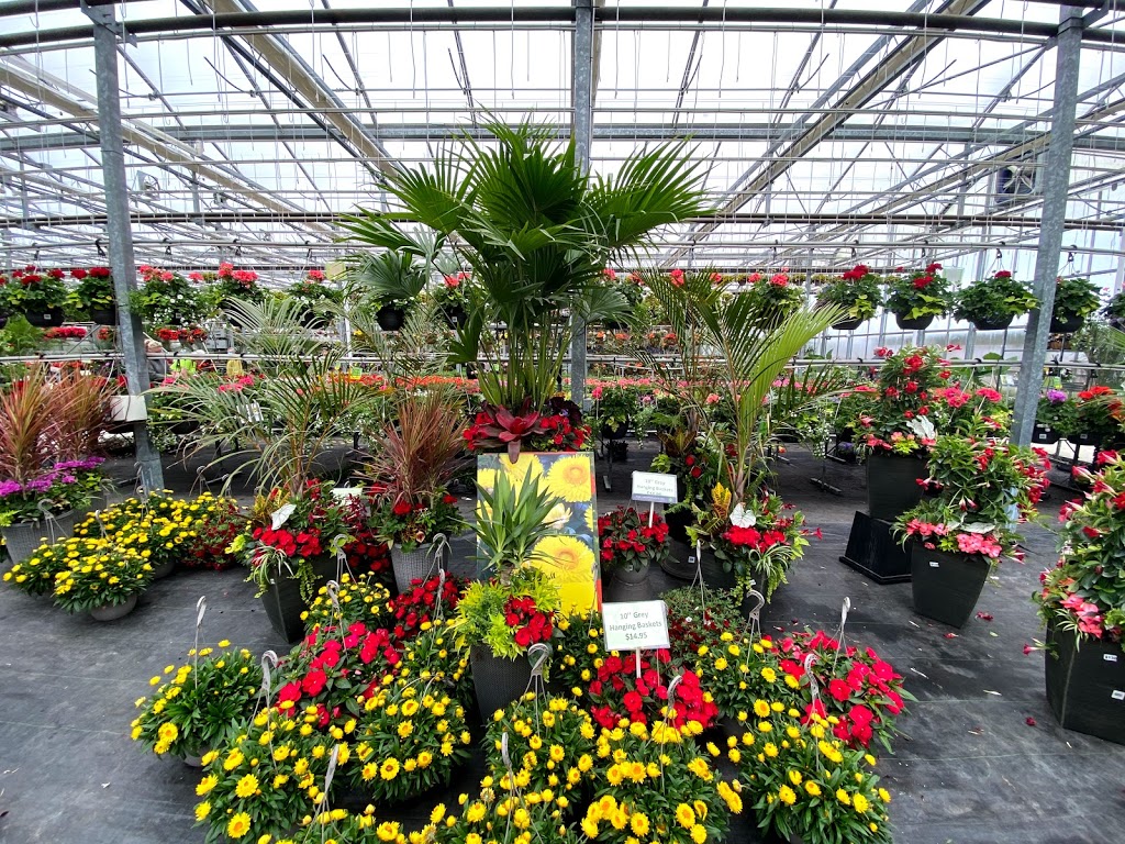 Capogna Flowers | 2078 Talbot Rd, Kingsville, ON N9Y 2E4, Canada | Phone: (519) 326-8840