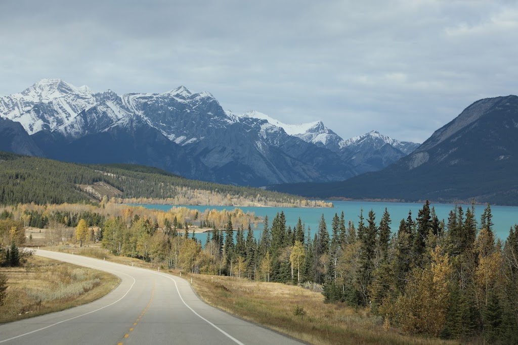 Kootenay Plains Ecological Reserve | Clearwater County, AB, Canada | Phone: (403) 845-8349