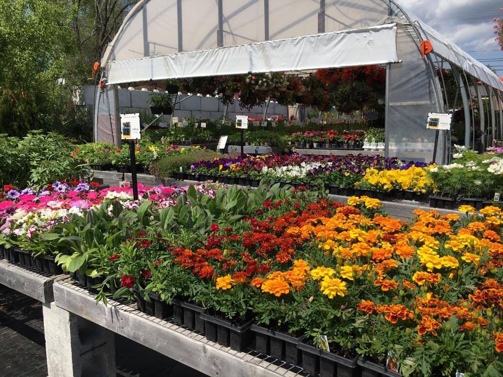 Bio Horticentre Méristème | 235 Chemin Eardley, Gatineau, QC J9J 2Y8, Canada | Phone: (819) 684-6969