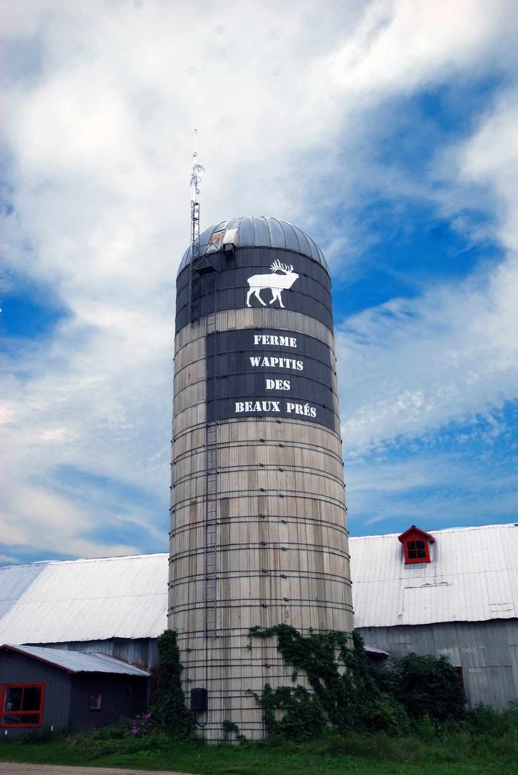 Ferme les Wapitis des Beaux Prés | 2480 10e Rang, Aston-Jonction, QC G0Z 1A0, Canada | Phone: (877) 226-3099