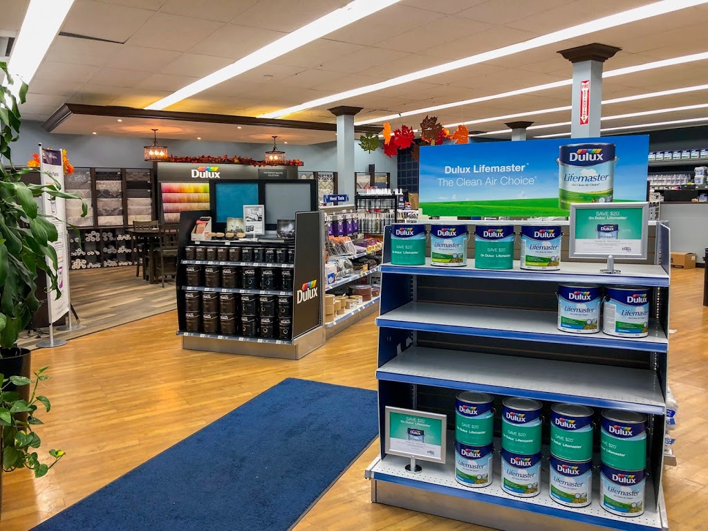 Dulux Paints | 1600 Avenue Rd, North York, ON M5M 3X7, Canada | Phone: (416) 782-5666