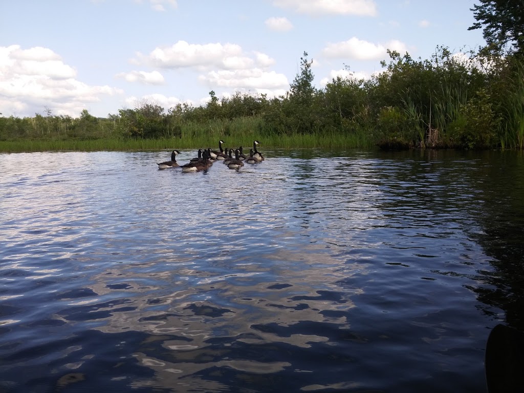 Réserve naturelle Quilliams-Durrull | Lac-Brome, QC J0E 1R0, Canada