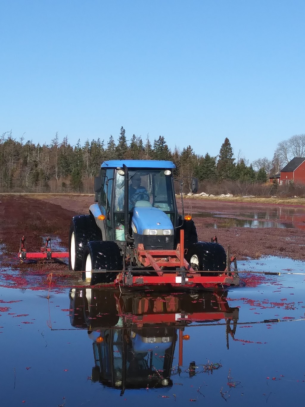 Terra Beata Farms | 161 Monk Point Rd, Lunenburg, NS B0J 2C0, Canada | Phone: (902) 634-4435