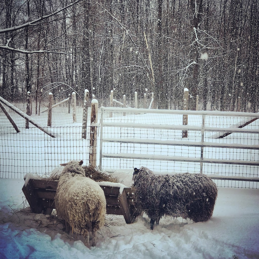 Micro-ferme Retour aux sources | 4010 Chemin Stuart, Saint-Anicet, QC J0S 1L0, Canada | Phone: (514) 214-2177