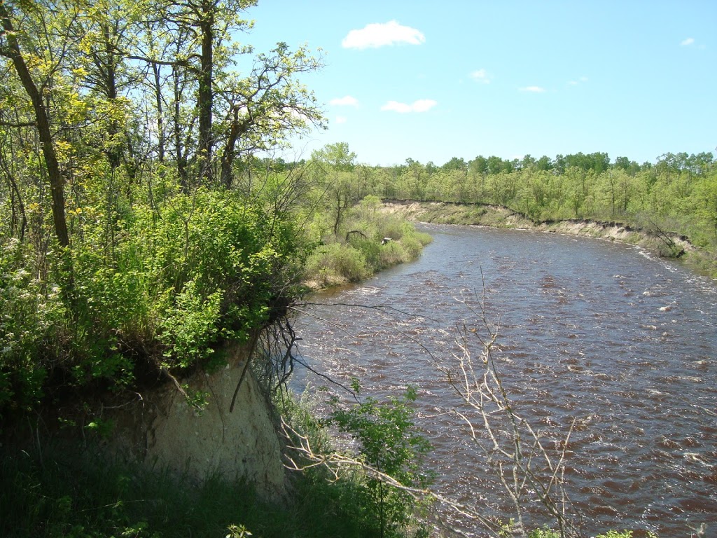 Shepherds Dream workshop | 27009 13 Rd N, Roseau River, MB R0A 1P0, Canada | Phone: (204) 427-3524