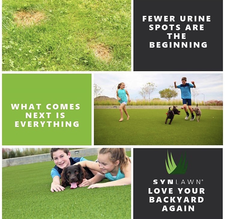 SYNLawn Vancouver | 8207 Swenson Way, Delta, BC V4G 1J5, Canada | Phone: (778) 246-2210