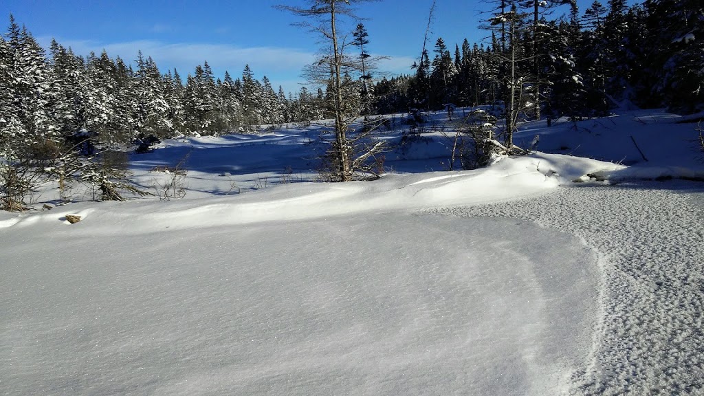 Refuge de lAppel | Sentier National, Saint-Donat-de-Montcalm, QC J0T 2C0, Canada | Phone: (819) 424-2833