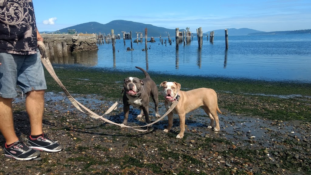 Ship Harbor Interpretive Preserve | Edwards Way, Anacortes, WA 98221, USA | Phone: (360) 293-1918