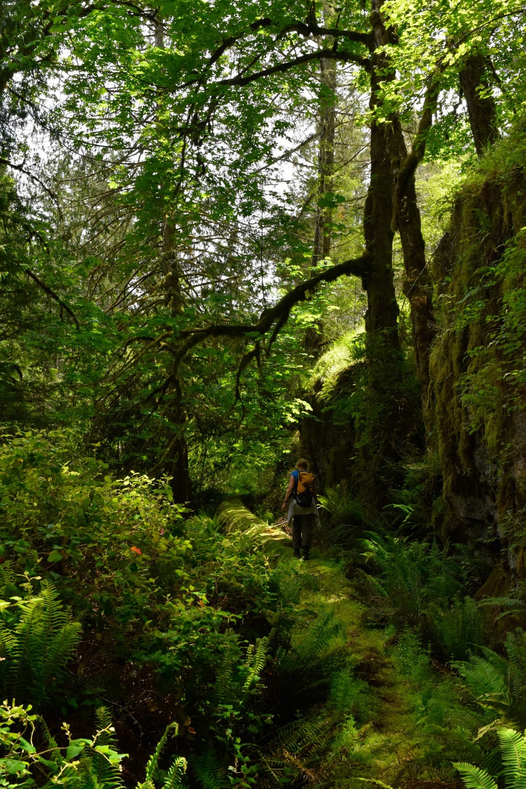 Sooke Flow Pipe Trail | Sooke River Rd, Sooke, BC V9C 4C1, Canada