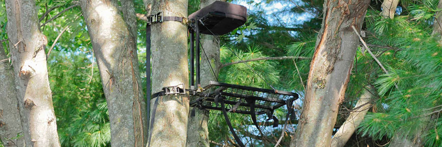 True North Treestands | 6043 Russell Rd, Carlsbad Springs, ON K0A 1K0, Canada | Phone: (855) 486-8868