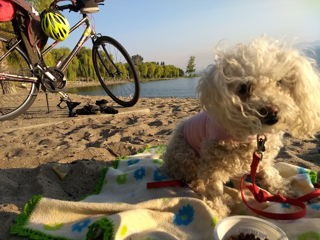 Dog Beach | 14877 Lakeshore Dr S, Summerland, BC V0H 1Z1, Canada | Phone: (250) 494-6451