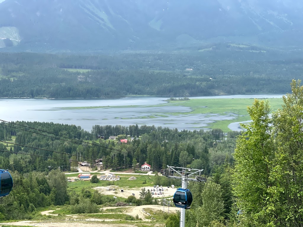 Revelstoke Community Forest Corporation | 4000 Highway 23rd North, Revelstoke, BC V0E 2S0, Canada | Phone: (250) 837-5733