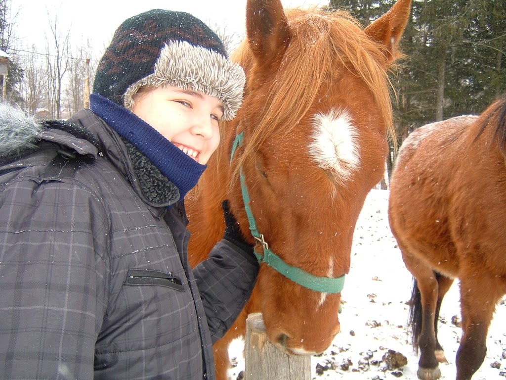 Centre dÉquitation Ranch Chez Ti-Gars | 38 Rue des Cavaliers, Saint-Étienne-de-Lauzon, QC G6J 1H7, Canada | Phone: (418) 831-2400