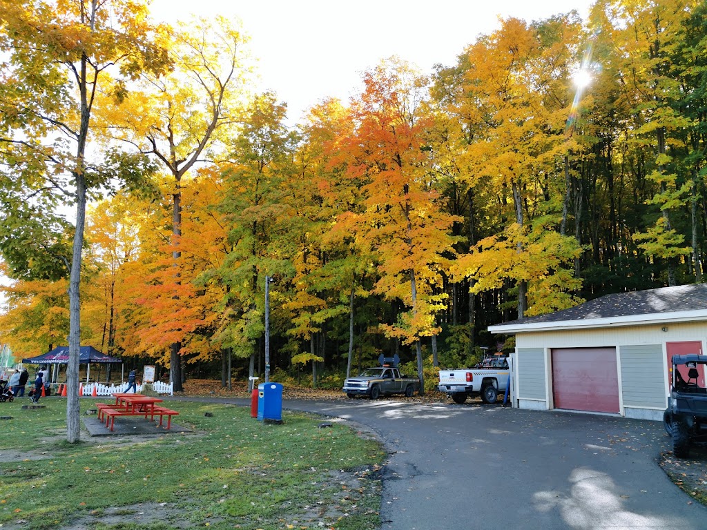 Festival des Couleurs de Rigaud | 5 Rue Pagé, Rigaud, QC J0P 1P0, Canada | Phone: (450) 451-0873