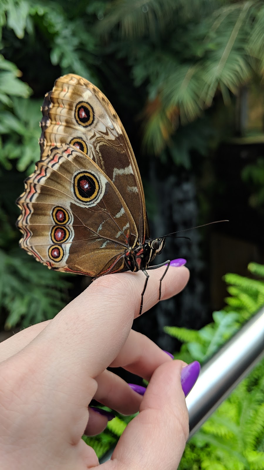 Butterfly Conservatory Visitors Parking | Unnamed Road, Niagara Falls, ON L2E, Canada