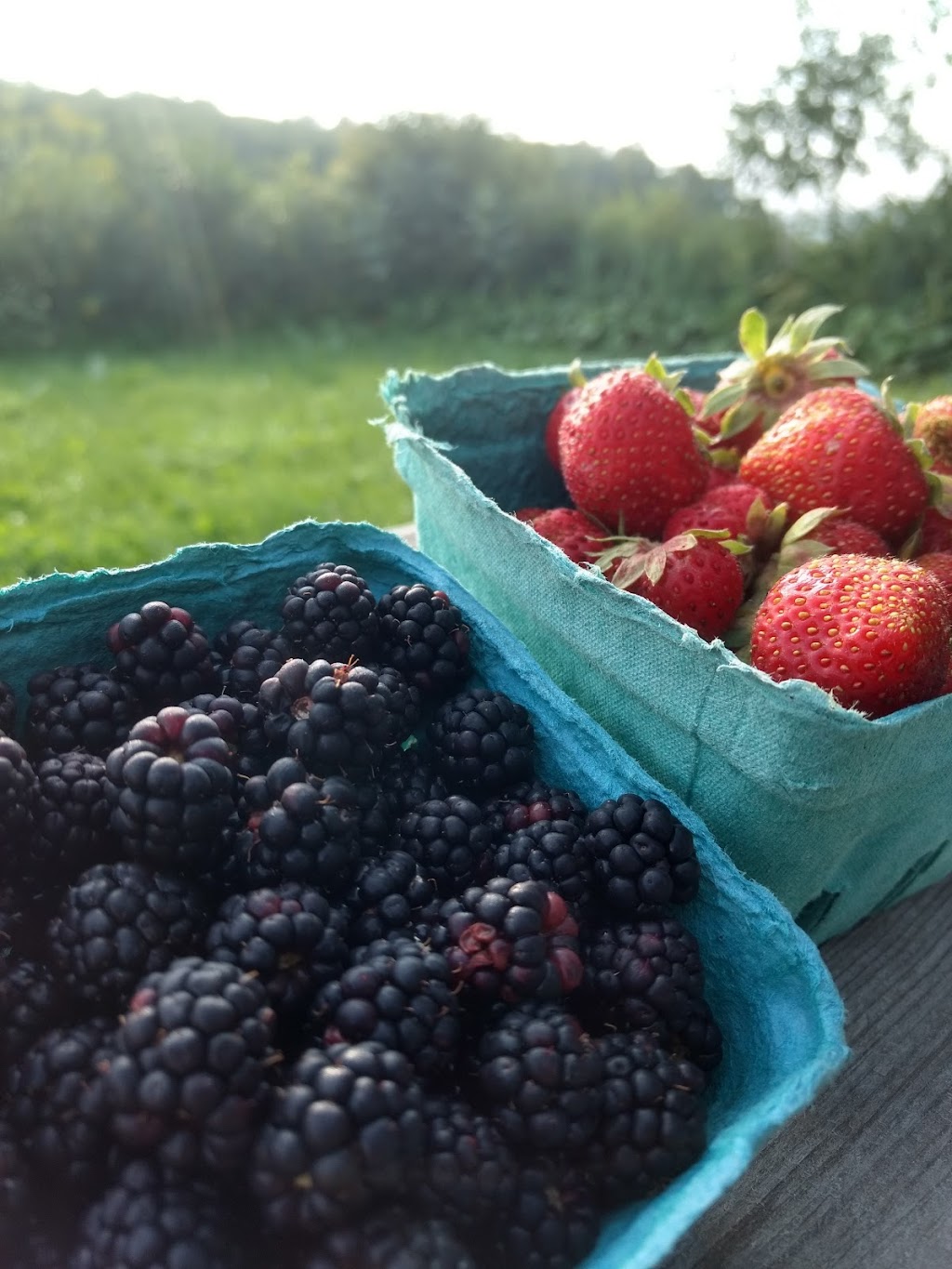 Ferme et Forêt | 225 Chem. Shouldice, Wakefield, QC J0X 3G0, Canada | Phone: (819) 459-3861