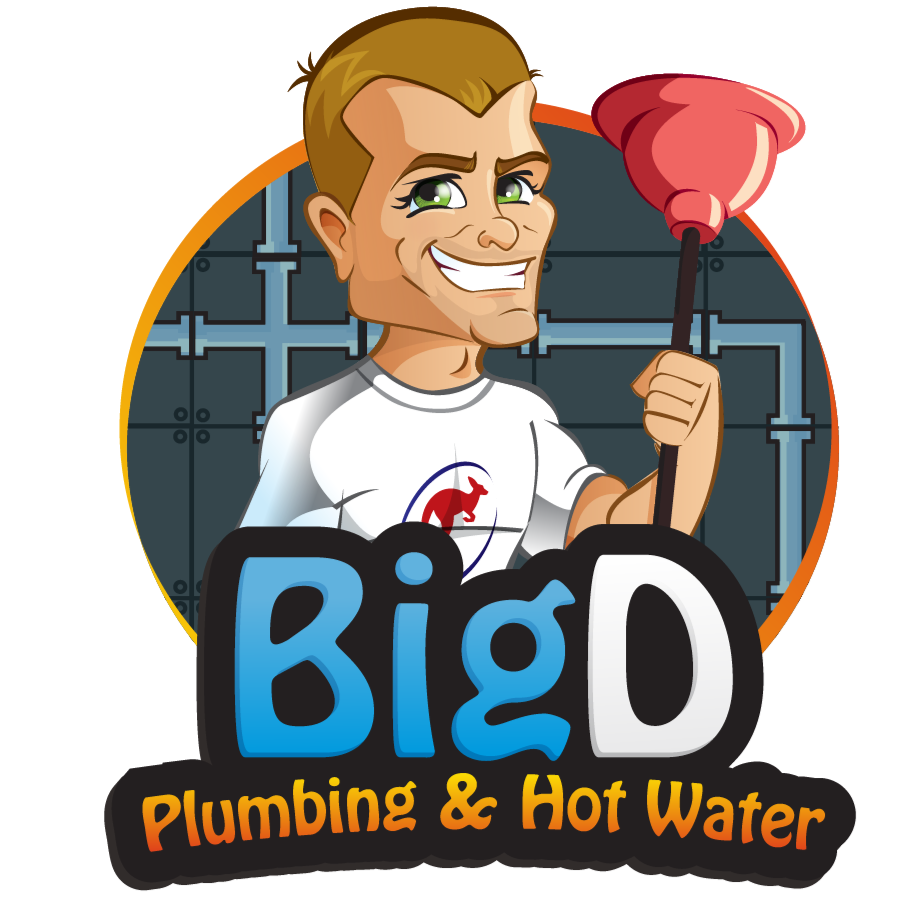 Big D Plumbing & Hot Water | 1172 Wingtip Pl, Squamish, BC V8B 0N6, Canada | Phone: (778) 266-4761