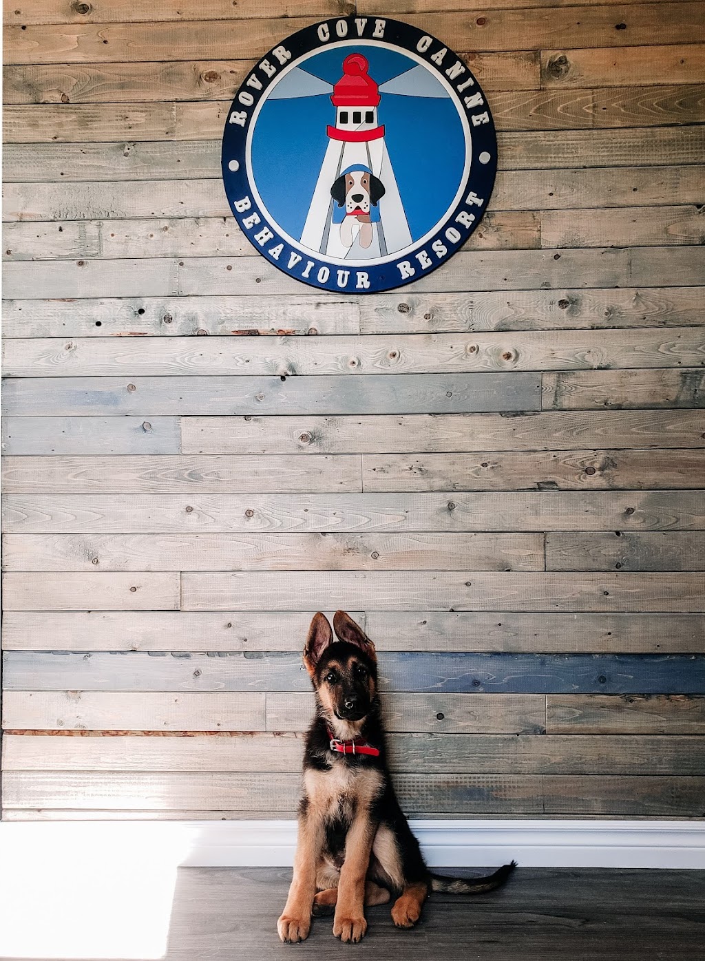 Rover Cove Dog Boarding & Training | 128 Roseway, Beach Rd, Shelburne, NS B0T 1W0, Canada | Phone: (902) 319-9154