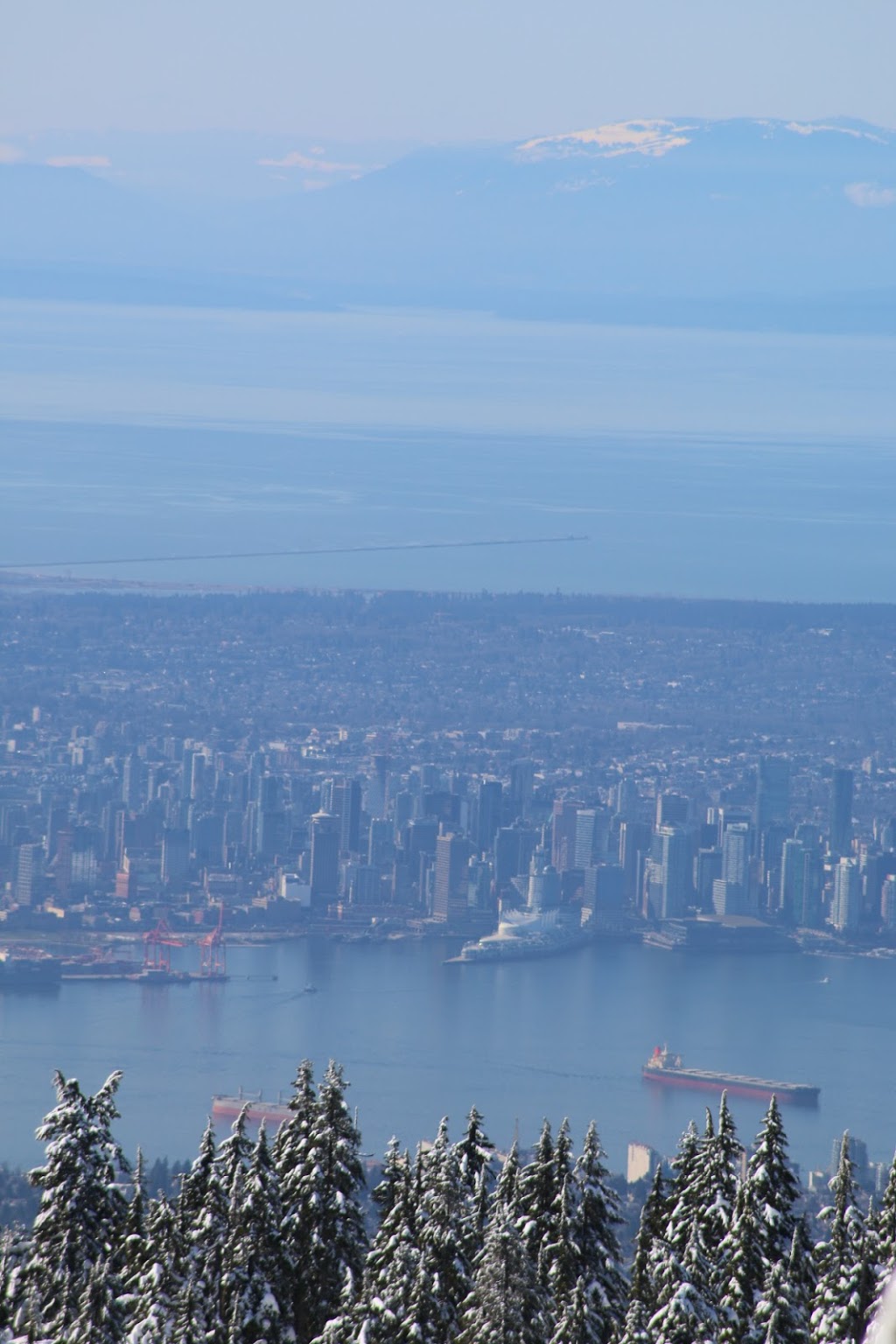 Mount Seymour Trail | Mount Seymour Trail, North Vancouver, BC V7G 1L3, Canada