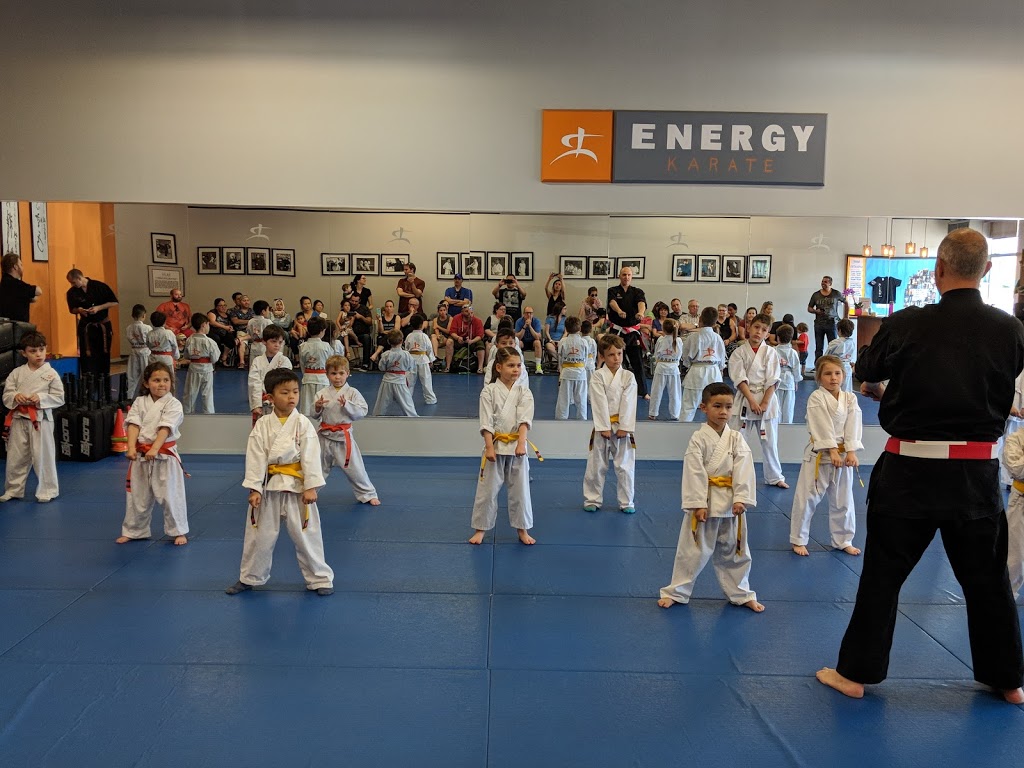 Energy Karate | 1101 Rutherford Rd, Thornhill, ON L4J 0E2, Canada | Phone: (905) 709-0600