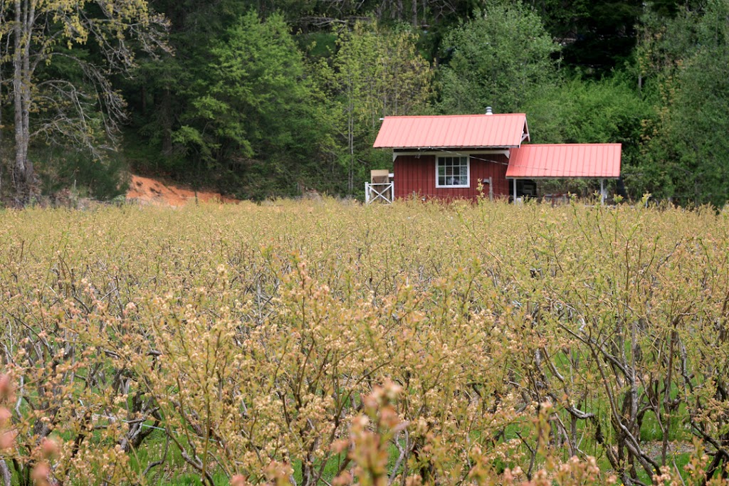 Meadowbrook Farm | 205 Meadowbrook Rd, Victoria, BC V9E 1J5, Canada | Phone: (250) 479-7166