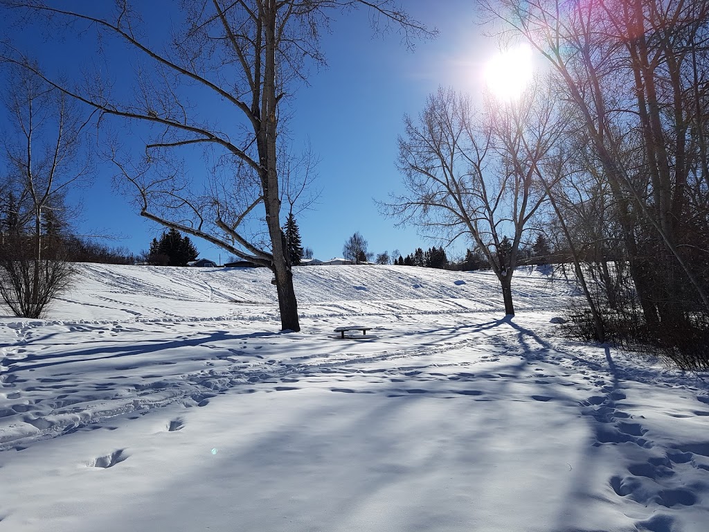 Confederation Park Parking, 30 Ave & 7 st | Unnamed Road, Calgary, AB T2K 0A2, Canada