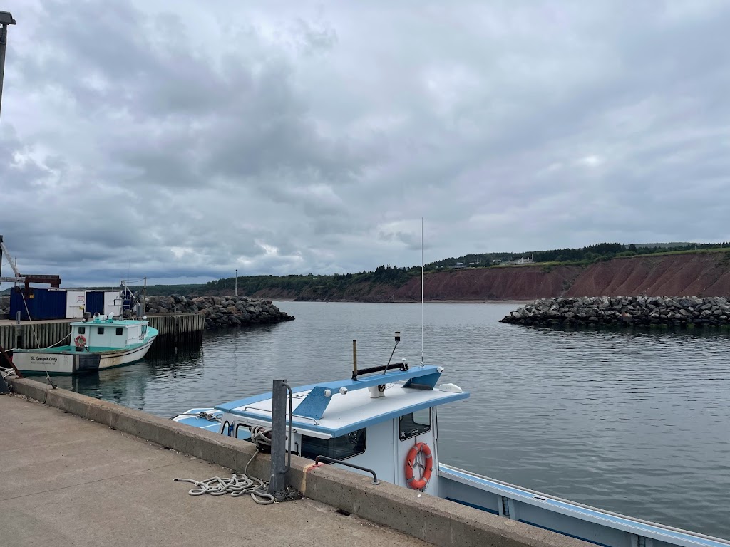 Ballantynes Cove Bluefin Tuna Interpretive Centre | 57 Ballantynes Cove Wharf Rd, Antigonish, NS B2G 2L2, Canada | Phone: (902) 863-8162