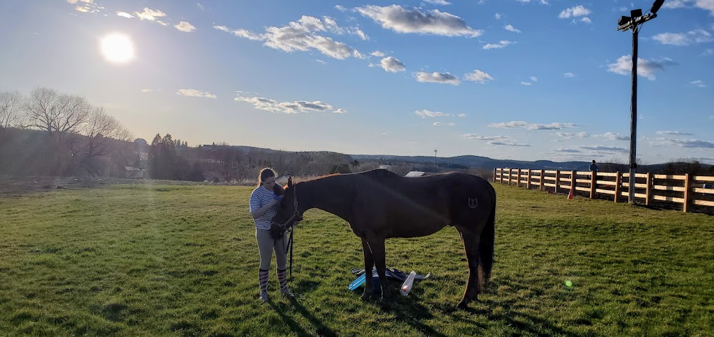 Centre Equestre BQH | 2385 Rang St Joseph, Chicoutimi, QC G7H 5A7, Canada | Phone: (418) 820-5941