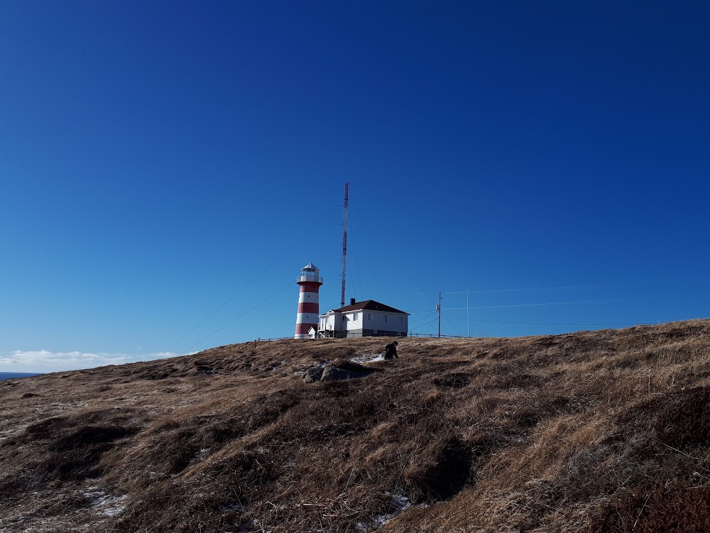 Cape Pine | Lighthouse, Cape Pine, NL A0A 3R0, Canada | Phone: (709) 438-1093