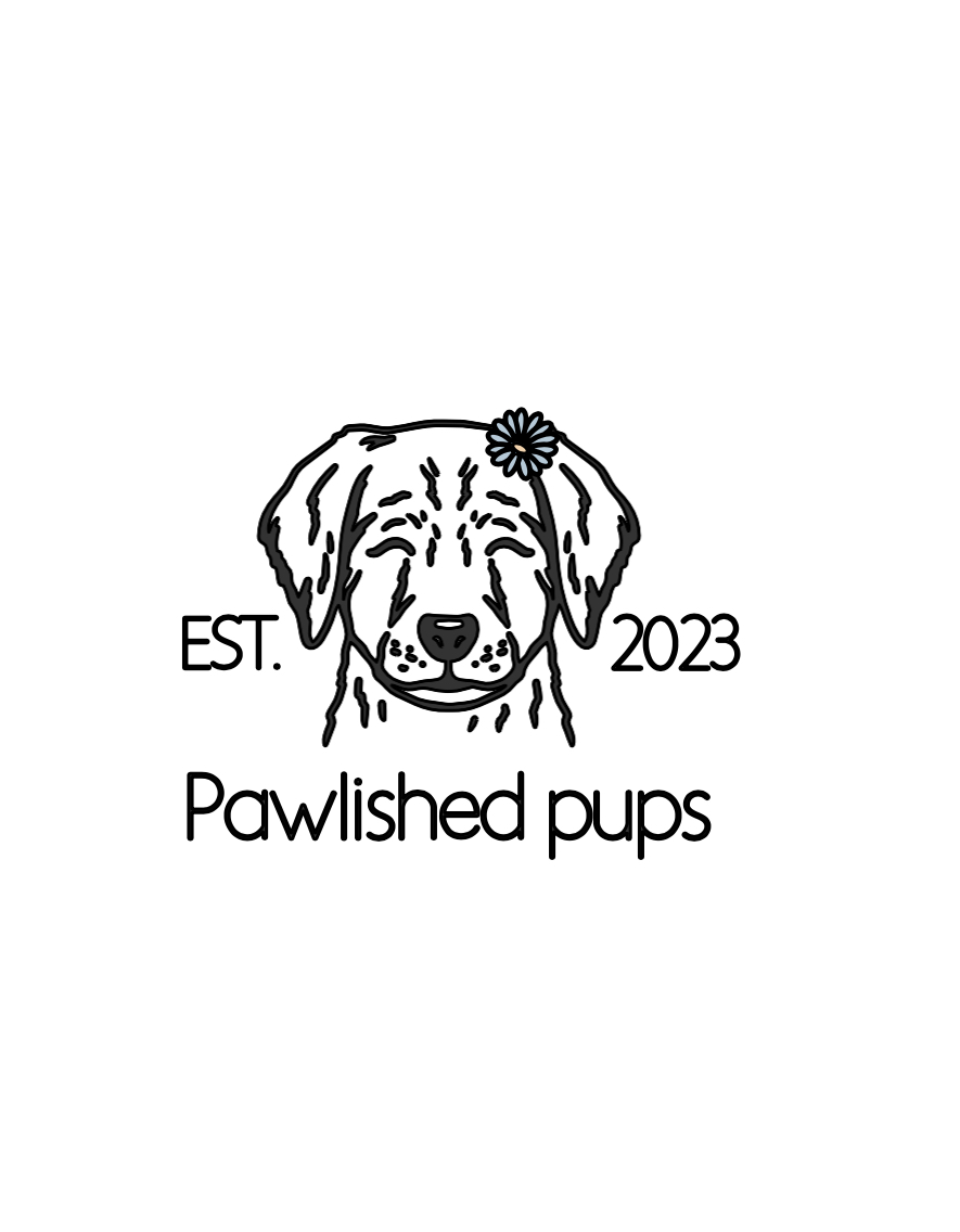 Pawlished pups pei | 1018 Ellerslie Rd, Ellerslie, PE C0B 1J0, Canada | Phone: (902) 330-4031