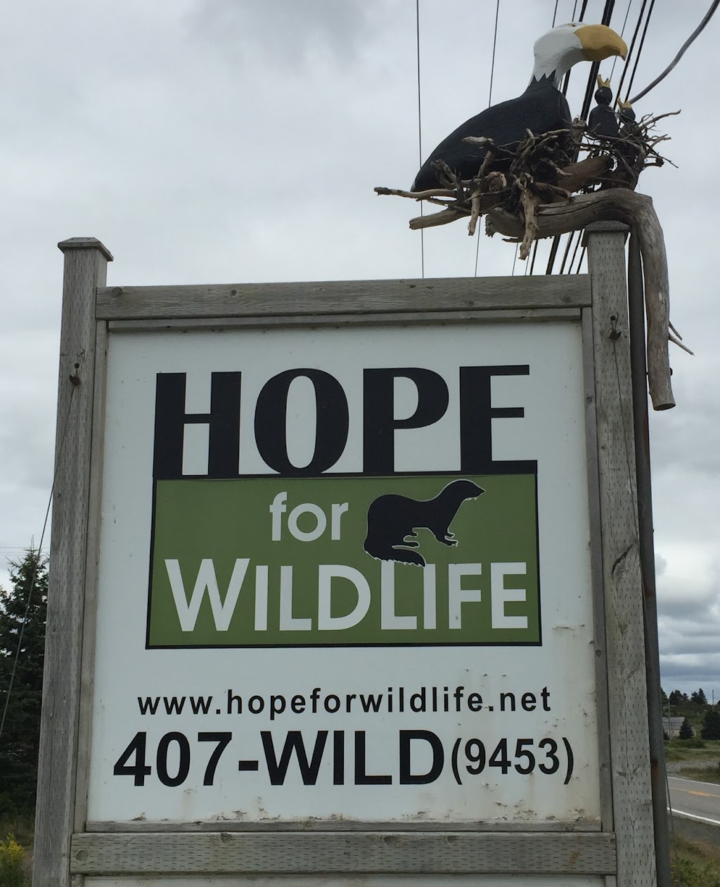 Hope For Wildlife | 5909 NS-207, Musquodoboit Harbour, NS B0J 2L0, Canada | Phone: (902) 407-9453