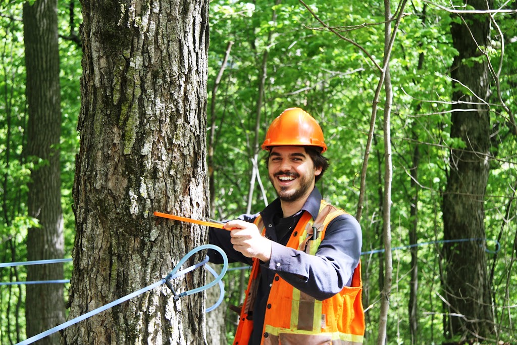 SNG Foresterie-conseil inc. | 2430 Rue Notre Dame O, Victoriaville, QC G6T 2E2, Canada | Phone: (819) 758-1693