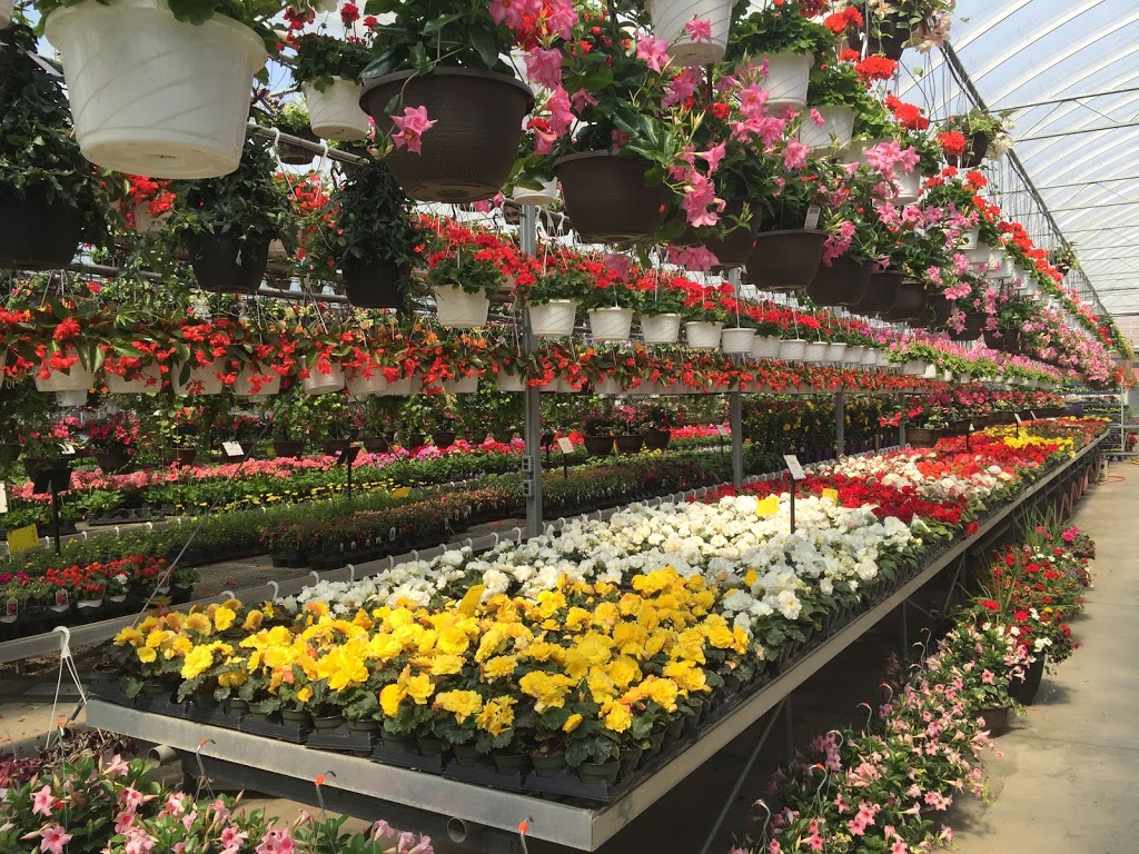 Century Home and Garden Greenhouses | 1431 ON-7A, Port Perry, ON L9L 1B5, Canada | Phone: (905) 985-2672