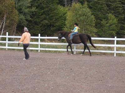 Spirit Reins Ranch | 432 Prospect Rd, Parrsboro, NS B0M 1S0, Canada | Phone: (902) 254-3138