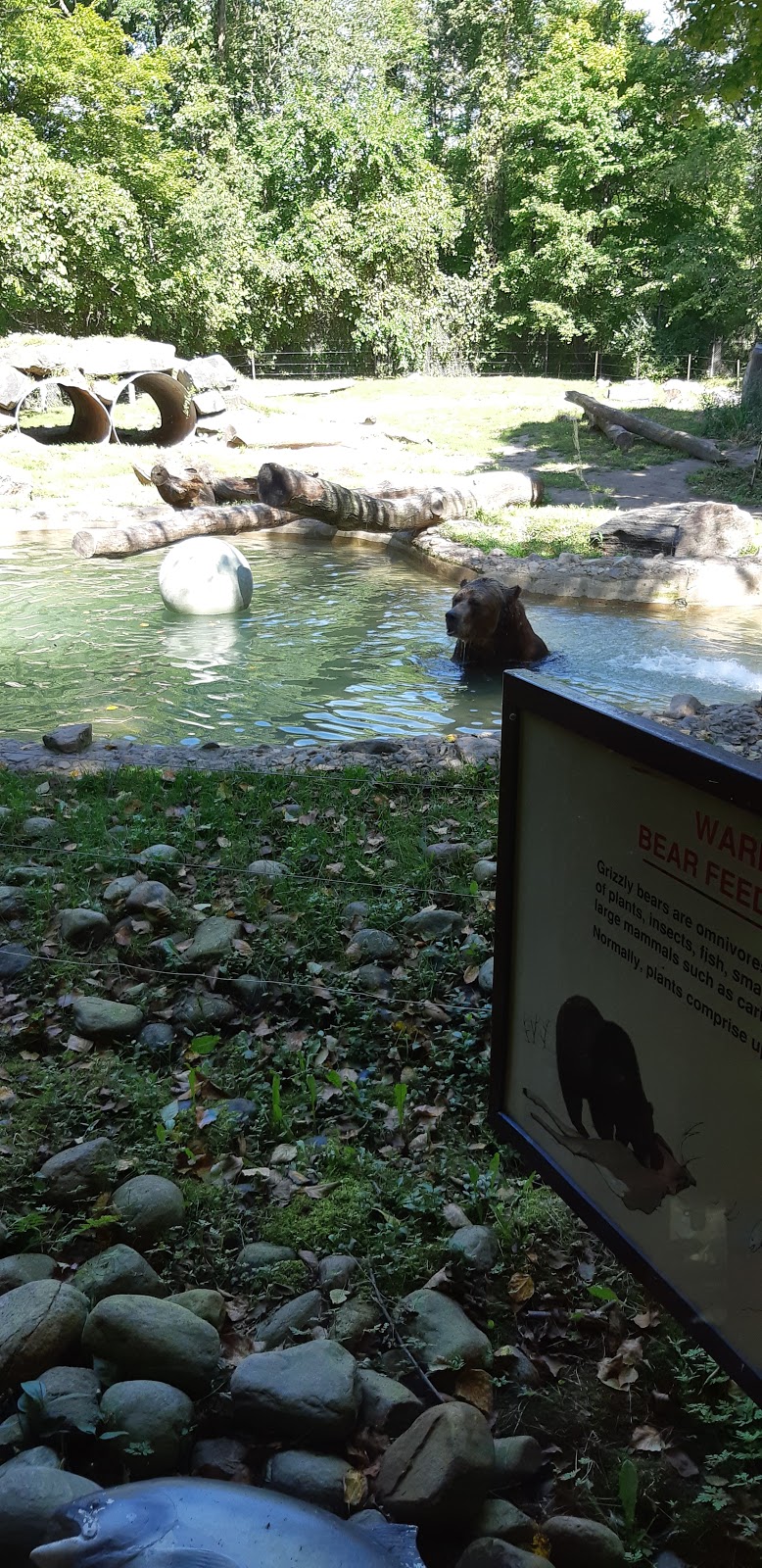 Grizzly Bear Exhibit | 2000 Meadowvale Rd, Scarborough, ON M1B 5K7, Canada | Phone: (416) 392-5929