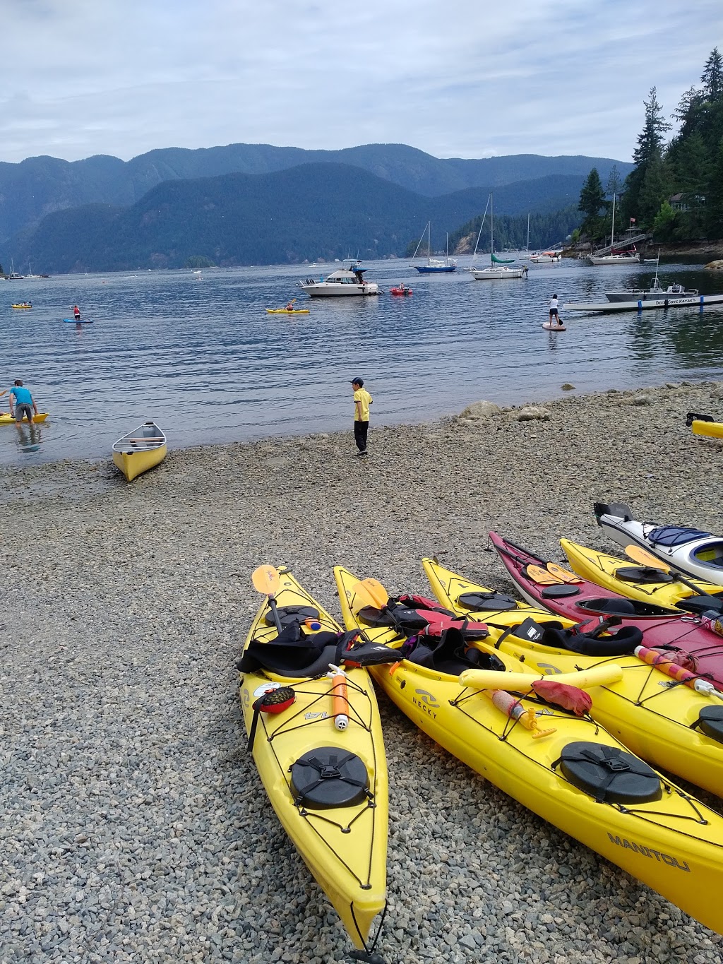 Deep Cove Kayak Centre | 2156 Banbury Rd, North Vancouver, BC V7G 2T1, Canada | Phone: (604) 929-2268