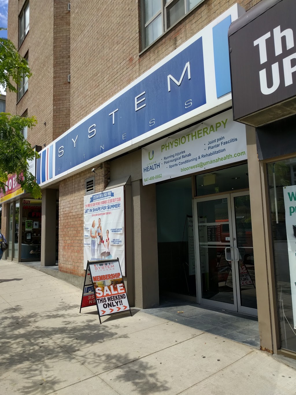 System Fitness High Park | 2100 Bloor St W, Toronto, ON M6S 1M7, Canada | Phone: (416) 762-6262