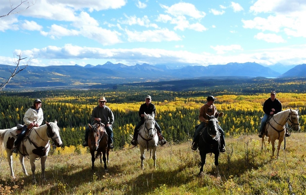 Wildhorse Ranch | 383040A, Range Rd 62, Rocky Mountain House, AB T4T 2A3, Canada | Phone: (403) 729-2910