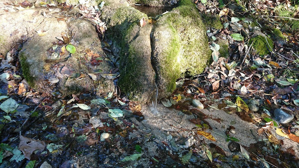 Worlds Smallest Waterfall | 91 E River Rd, Paris, ON N3L 3E1, Canada