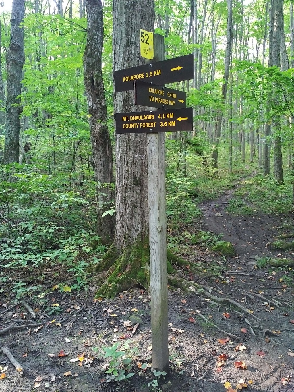 Kolapore Uplands Parking Lot | Grey Road 2, The Blue Mountains, ON N0H 2E0, Canada